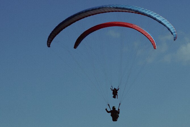 Cloudbase Paragliding in Gudauri, Georgia - Key Things to Know Before You Go