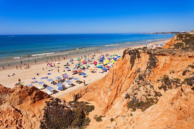 Flight experience over the beach in paragliding/paratrike in the Algarve with video. - Key things to know before you book