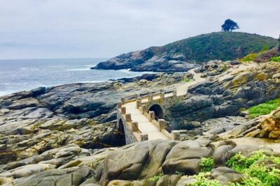 Fr STGO: WILD PENGUINS, SEALION, SANDBOARD, PARAGLIDING & PICNIC - Sea Lions First: A Wildlife Stop You Can Appreciate Without Waiting