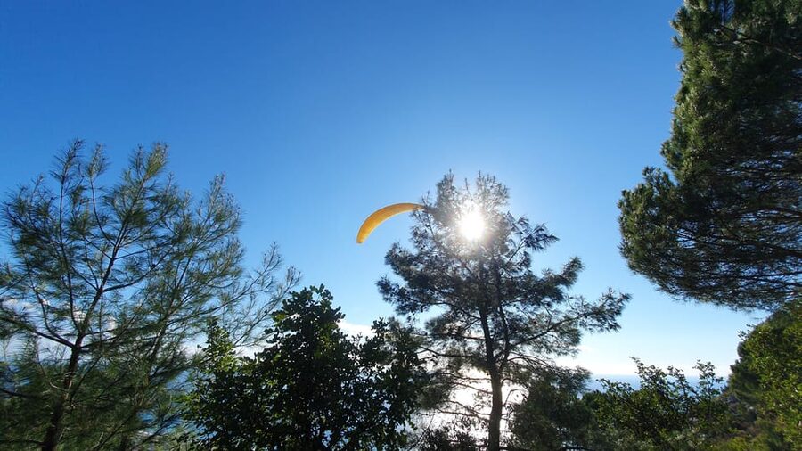 From Antalya/Alanya/Side: Paragliding Adventure - Timing, Weather, and How to Plan Your Day Without Stress