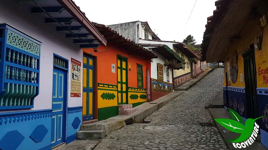 From Medellín: Paragliding Flight and Guatape Tour - Weather, weight limits, and health restrictions that matter