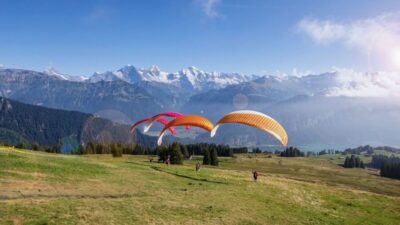 Interlaken: Tandem Paragliding Flight with Pilot - Beatenberg and Höhematte: The Pre-Flight Views You Should Use