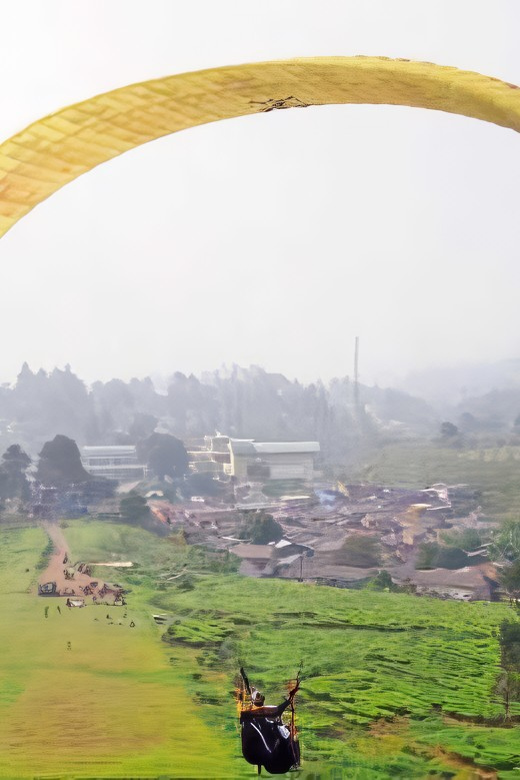 Jakarta: Paragliding on Top Mountain & Tea Plantation - Should You Book This Jakarta to Paragliding Tour?