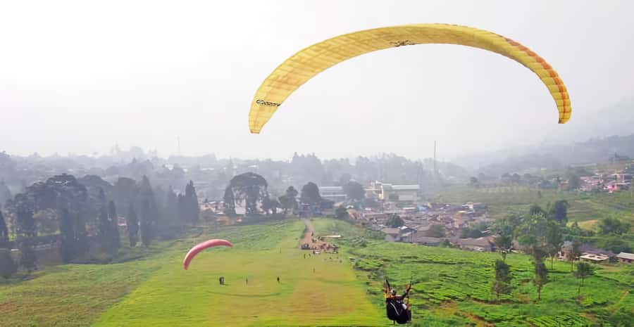 Jakarta: Paragliding on Top Mountain & Tea Plantation - From Jakarta to Bogor: The Guided Warm-Up (2 Hours)