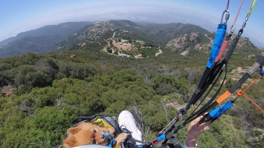 Malibu Hills to Beach: Tandem Paragliding Flight Adventure - The landing on Malibu beach: the part that feels good