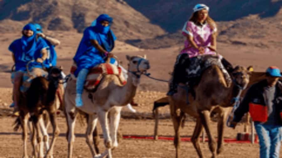 Marrakech Adventure: Paragliding, Camel Ride & Breakfast - The 6-Hour Game Plan (High Atlas Breakfast to Kik Plateau Flight)