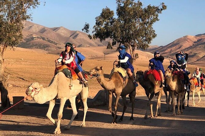 Marrakech : Paragliding & Atlas Mountains Trip - Who this Marrakech paragliding trip is best for
