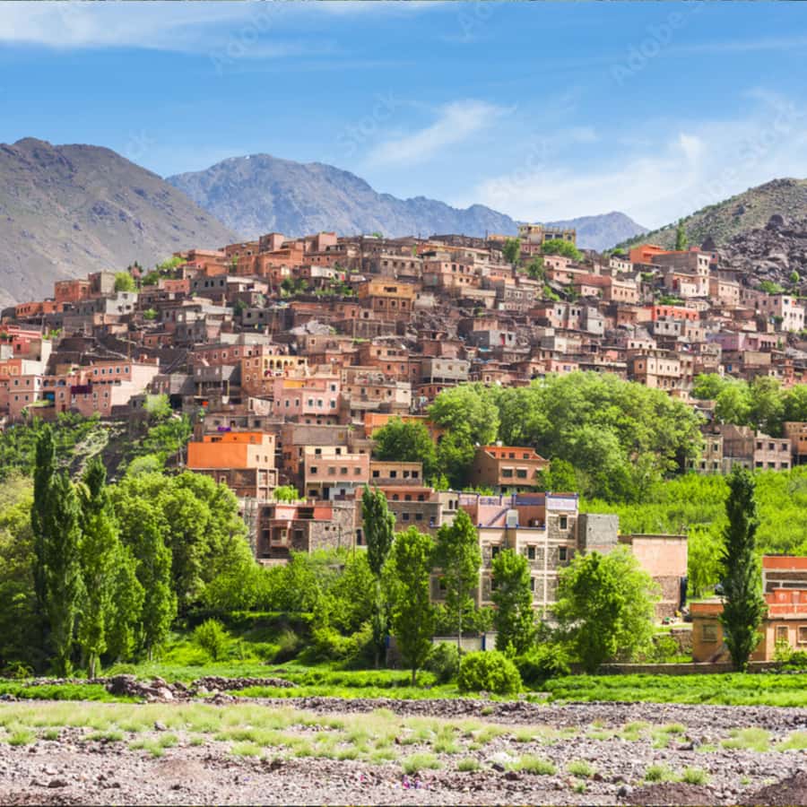 Marrakech: Paragliding, Camel Ride & Berber Villages Trip - The argan oil cooperative stop: what you learn (and what you might skip caring about)