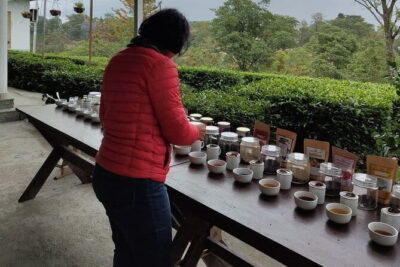 Palampur and Bir Tour, Tea Gardens, Adventures and Paragliding - Kangri Dham lunch: a regional meal that keeps the day moving