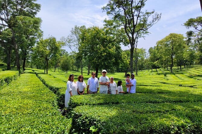 Palampur and Bir Tour, Tea Gardens, Adventures and Paragliding - Baijnath Shiv Temple: a short, peaceful pause if time allows