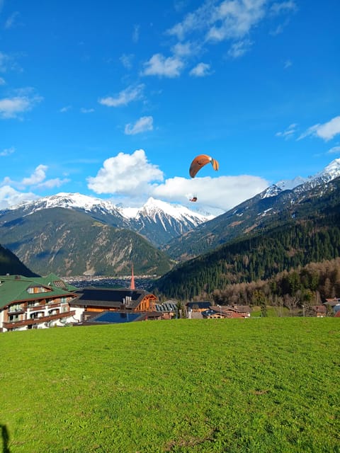 Paragliding Tandem Flight - Price and value: is $141 fair for tandem paragliding?
