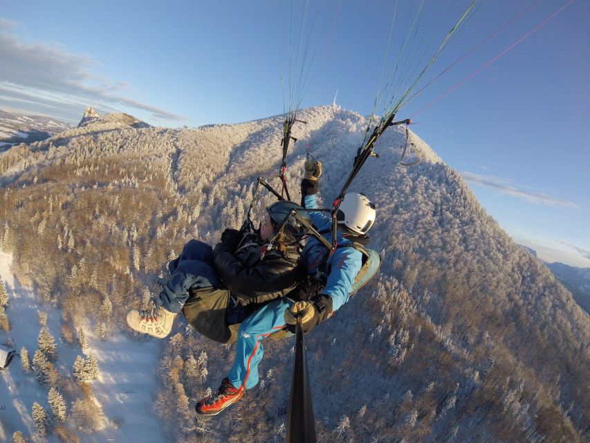 Salzburg like an eagle: tandem paragliding from Gaisberg - Getting There From Mirabell Platz: Bus 151 to the Top Stop