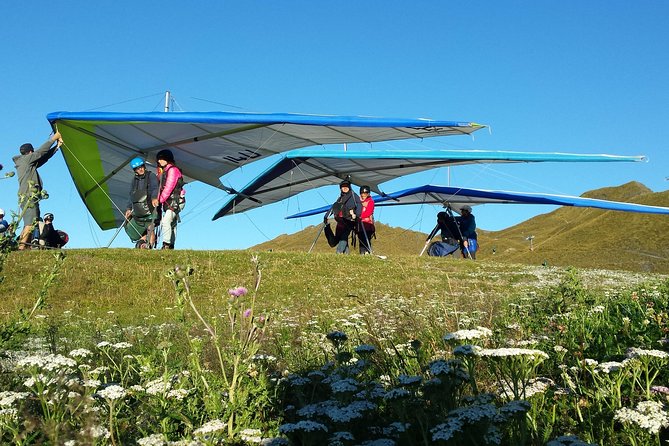 Tandem Hang Gliding - Price and Value: Is $222.17 a Fair Deal?