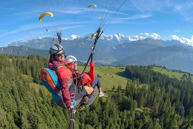Tandem Paragliding Experience from Interlaken - Getting There: Meeting Point, Van Transfer, and Timing That Actually Works