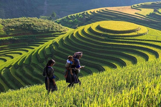 Tandem Paragliding Experience in Hanoi - Timing, Weather, and When to Fit This Into Your Hanoi Plan