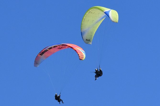 Tandem Paragliding Flights from Vik - Photos and Video: You Get Keepsakes Without Holding Anything