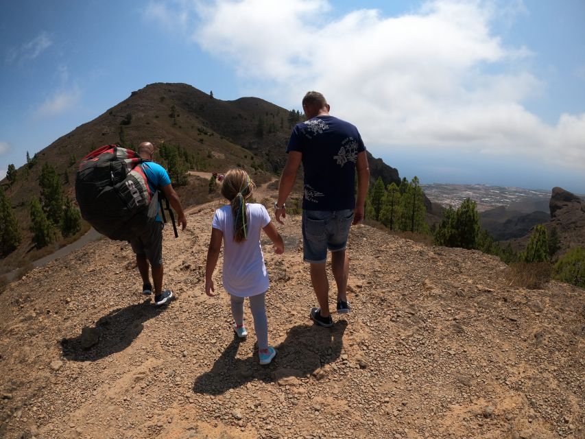Tenerife: Paragliding with National Champion Paraglider - Price and value: is $153 a good deal?
