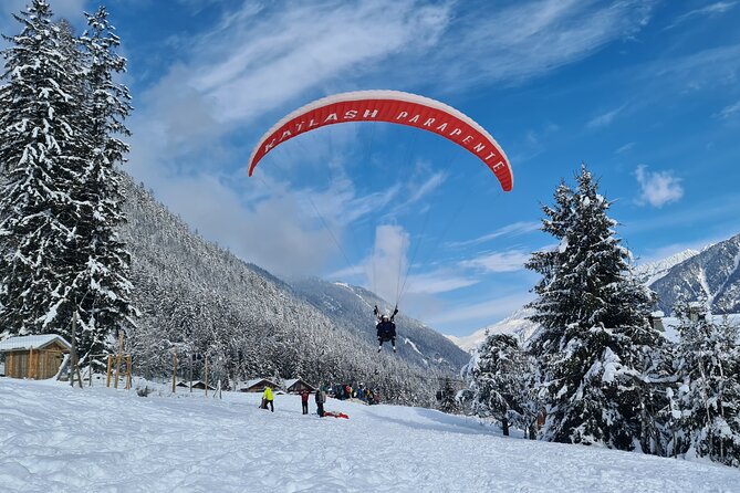 Two-seater paragliding flight in Chamonix - Chamonix From the Sky: The Views You’ll Actually Care About