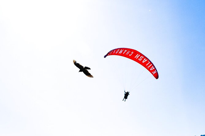 Two-seater paragliding flight in Chamonix - Photo and Video Budget: The Worth-it Add-On Question