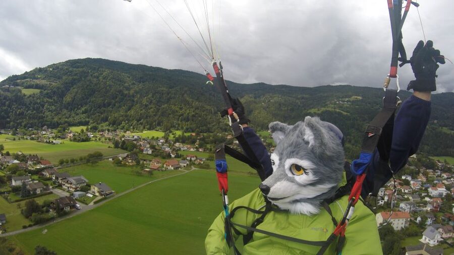 Villach/Ossiachersee: Paragliding "Panorama" Tandemflug - The guide setup: English/German support and small-group attention